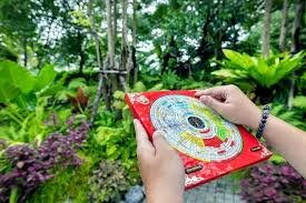 ซินแสฮวงจุ้ยสายพลังงานและความสบายใจ